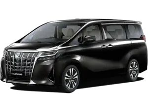 Alphard 1 300x229